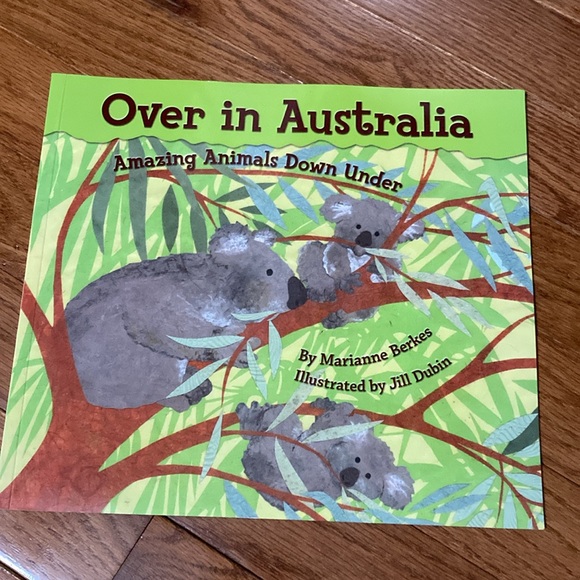 Over in Australia Book & Koala Plush - Picture 9 of 15